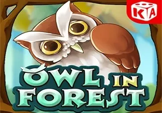 Owl In Forest